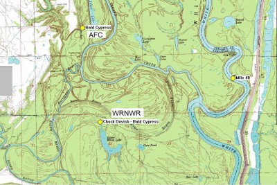 Saga of the Champion Bald Cypress.JPG