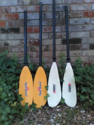 RecPaddles3.jpg