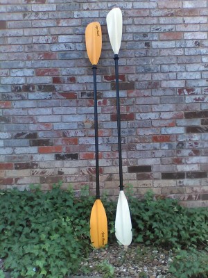 RecPaddles2.jpg