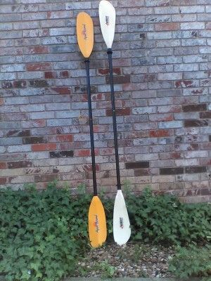 RecPaddles1.jpg