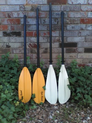 RecPaddles4.jpg