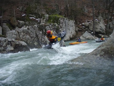 small_Nole at Upper Screw up on Richland Creek.JPG