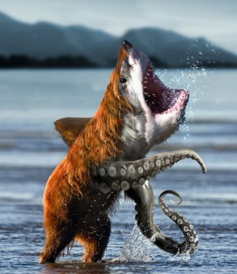 sharkbearoctopus.jpg
