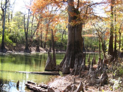 Mountain View, AR with Joanie and Jay Oct 2010 057.JPG