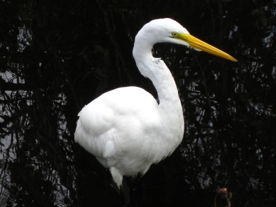 2011-2-5,2-6 135.JPG