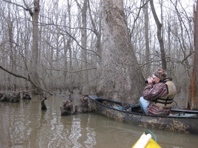 Bayou Deview (13).JPG
