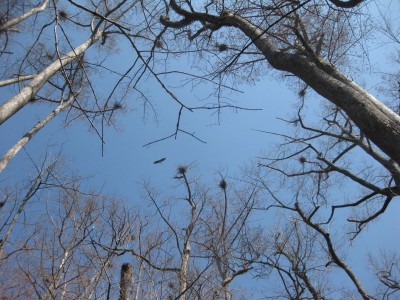Bayou Deview 2011-03-20 023.JPG
