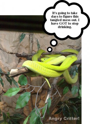 snake-drunk.jpg