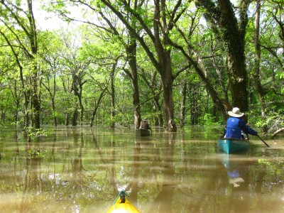 Wattensaw 5-5-2011 031.JPG