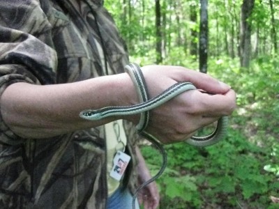 Wattensaw 5-5-2011 045.JPG