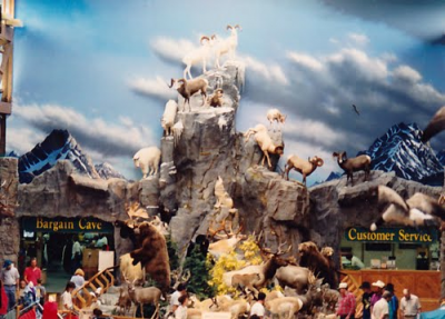 cabellas.png (356.99 KiB) Viewed 1570 times cabellas.png