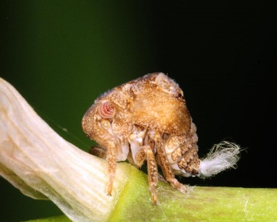 image.jpg (147.31 KiB) Viewed 2369 times image.jpg