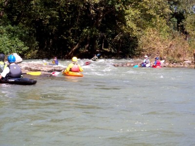 Frog1_10162014.jpg (136.63 KiB) Viewed 942 times Frog1_10162014.jpg