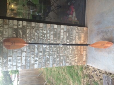 Werner Fiberglass Paddle.JPG
