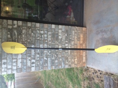 Werner Rio Paddle.JPG