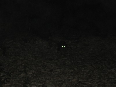 IMG_1340.JPG (1.63 MiB) Viewed 1184 times IMG_1340.JPG