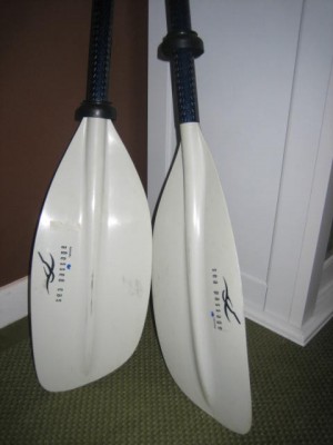 kayak and equipment 006.JPG