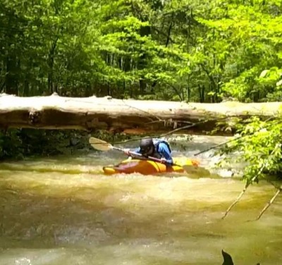 Calvin ducks lo res.jpg (87.22 KiB) Viewed 80880 times Calvin ducks lo res.jpg